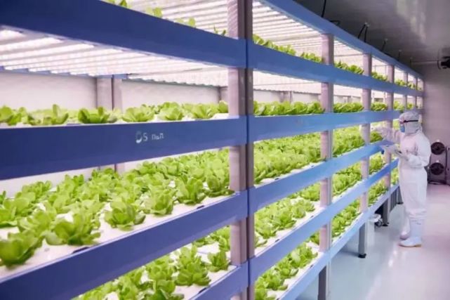 實(shí)景圖展示